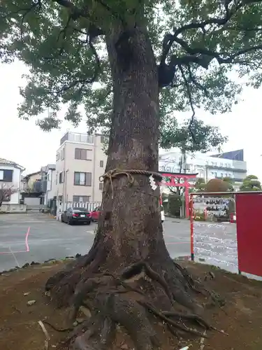 東京羽田 穴守稲荷神社(東京都)