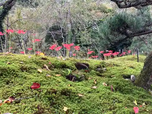 宝積山光前寺(長野県)