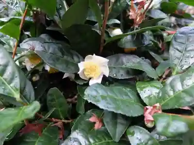 高山寺(京都府)