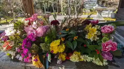 勝林寺(京都府)