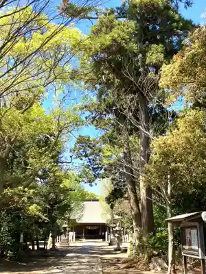 諏訪大神(千葉県)