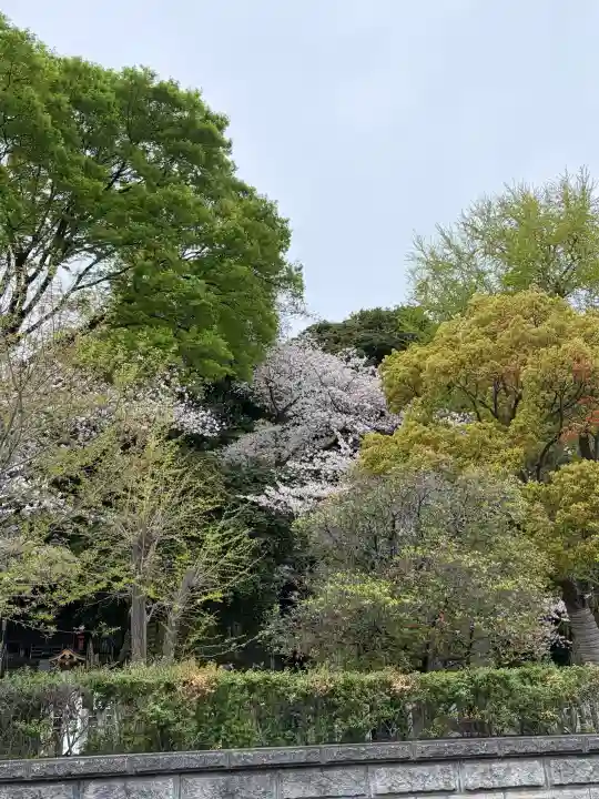 瀧泉寺(目黒不動尊)の{uncategorized: "未分類", other: "その他", undefined: "問題あり", building: "その他建物", grave: "お墓", sacred_gate: "鳥居", guardian: "狛犬", statue: "像", buddha: "仏像", history: "歴史", nature: "自然", garden: "庭園", animal: "動物", pagoda: "塔", temizu: "手水舎", mountain_gate: "山門・神門", sanctuary: "本殿・本堂", subordinate: "末社・摂社", art: "芸術", scenery: "景色", jizo: "地蔵", ema: "絵馬", goshuin: "御朱印", omikuji: "おみくじ", items: "授与品その他", amulet: "お守り", goshuincho: "御朱印帳", eats: "食事", festival: "お祭り", votive_dance: "神楽", shichigosan: "七五三参", wedding: "結婚式", experience: "体験その他", initially: "初詣", around: "周辺", anti_infection: "感染症対策"}
