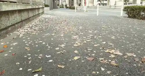 くまくま神社(導きの社 熊野町熊野神社)の庭園