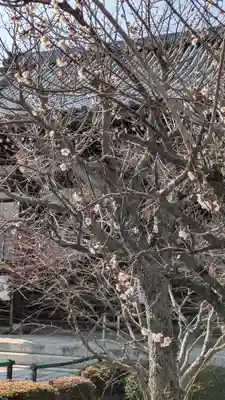 西光寺(滋賀県)