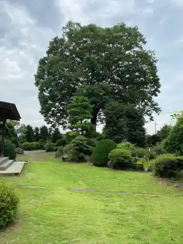 東蕗田天満社(茨城県)