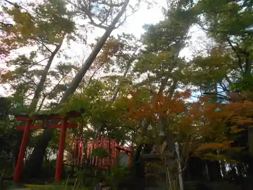 亀岡八幡宮（亀岡八幡神社）の鳥居