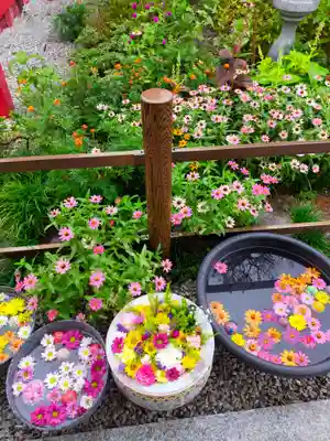 埼玉厄除け開運大師・龍泉寺（切り絵御朱印発祥の寺）の手水舎