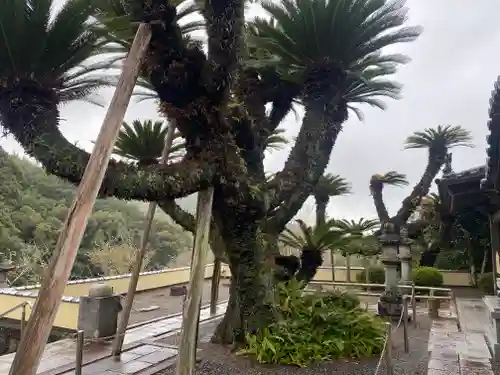 報恩寺(和歌山県)