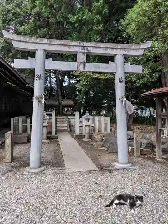 八幡社(柏井町)の鳥居