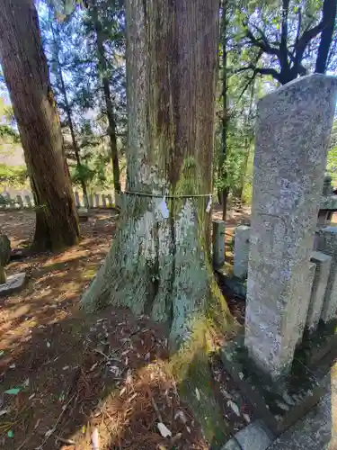 鹿島神社 本殿(栃木県)