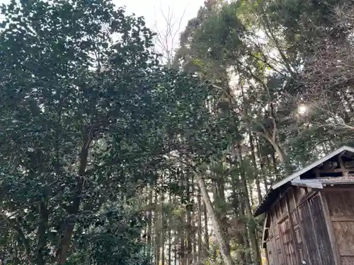 大宮温泉神社(栃木県)
