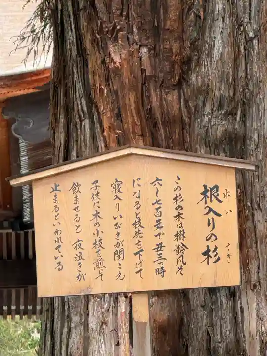 諏訪大社下社秋宮(長野県)