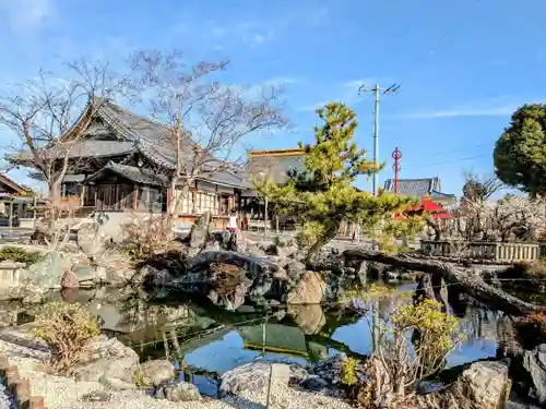 乙津寺　（鏡島弘法）の庭園