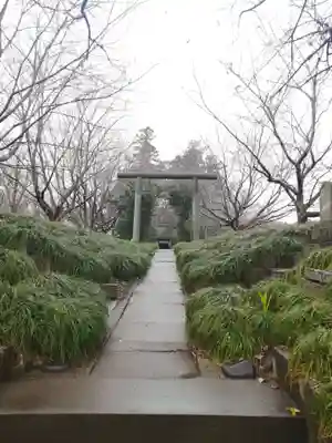 三ｹ尾神社の鳥居