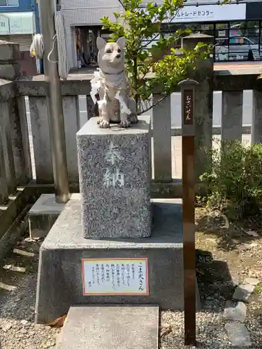 今泉八坂神社の狛犬