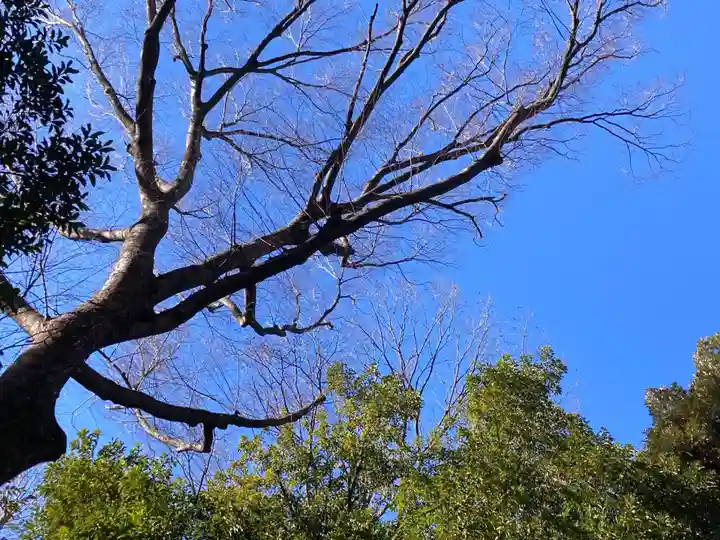 代々木八幡宮の景色