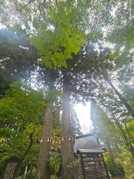 如法寺(鳥追観音)(福島県)