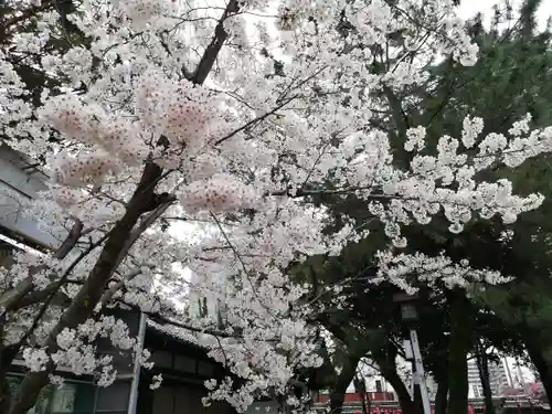 真清田神社の景色