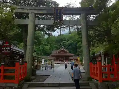 出雲大神宮の鳥居
