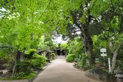 浄瑠璃寺(愛媛県)