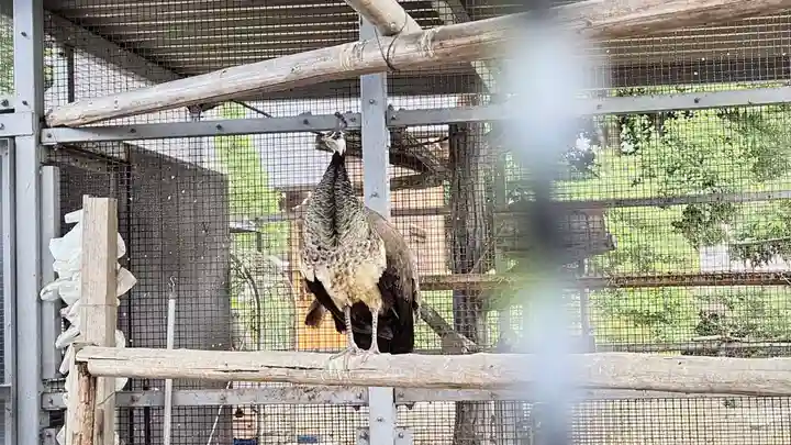 神明宮(栃木県)