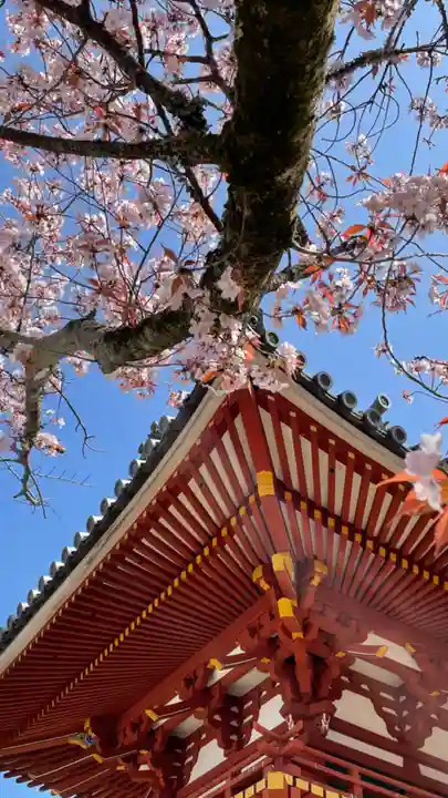 金剛寺のその他建物