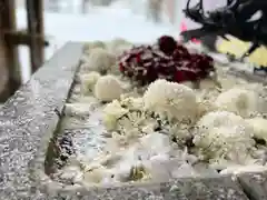 札幌諏訪神社の手水