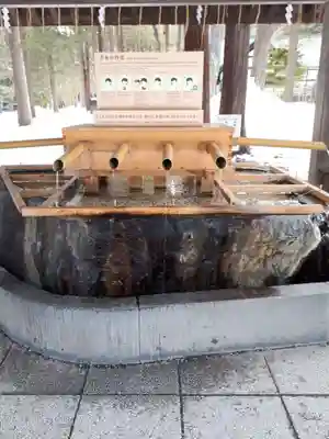 北海道神宮の手水舎