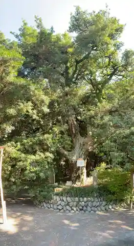 白羽神社の庭園