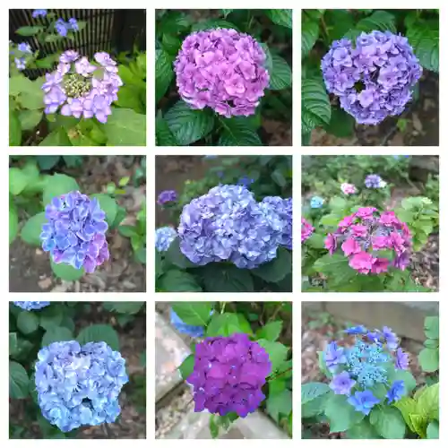 長命寺(東京都)