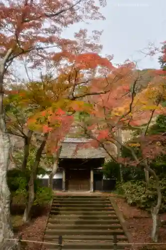 円覚寺(神奈川県)