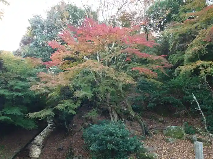厳島神社(広島県)