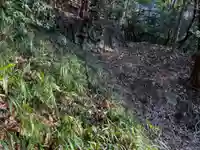 金刀比羅神社の自然