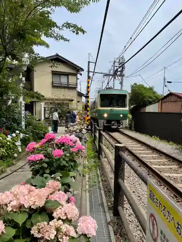 御霊神社の周辺