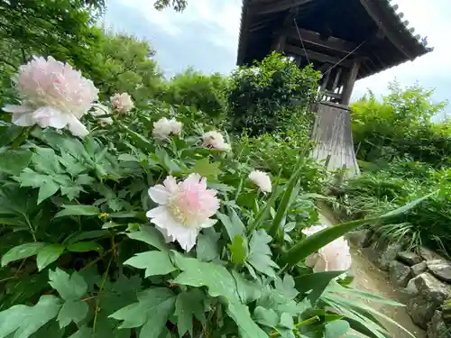 石光寺(奈良県)