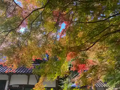 高山寺(兵庫県)