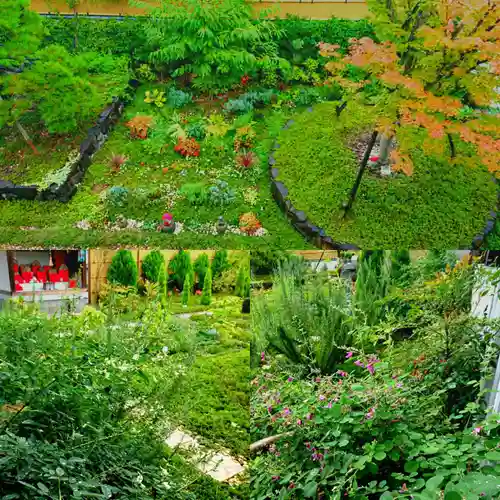 寿量山　速成寺(奈良県)
