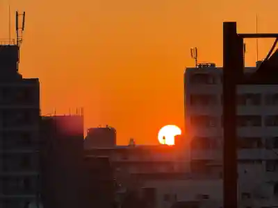 諏方神社の{uncategorized: "未分類", other: "その他", undefined: "問題あり", building: "その他建物", grave: "お墓", sacred_gate: "鳥居", guardian: "狛犬", statue: "像", buddha: "仏像", history: "歴史", nature: "自然", garden: "庭園", animal: "動物", pagoda: "塔", temizu: "手水舎", mountain_gate: "山門・神門", sanctuary: "本殿・本堂", subordinate: "末社・摂社", art: "芸術", scenery: "景色", jizo: "地蔵", ema: "絵馬", goshuin: "御朱印", omikuji: "おみくじ", items: "授与品その他", amulet: "お守り", goshuincho: "御朱印帳", eats: "食事", festival: "お祭り", votive_dance: "神楽", shichigosan: "七五三参", wedding: "結婚式", experience: "体験その他", initially: "初詣", around: "周辺", anti_infection: "感染症対策"}