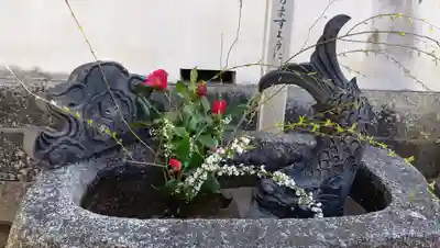 三津厳島神社の手水舎