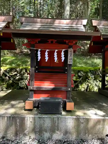 三峯神社(埼玉県)