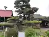 上田大神宮の{uncategorized: "未分類", other: "その他", undefined: "問題あり", building: "その他建物", grave: "お墓", sacred_gate: "鳥居", guardian: "狛犬", statue: "像", buddha: "仏像", history: "歴史", nature: "自然", garden: "庭園", animal: "動物", pagoda: "塔", temizu: "手水舎", mountain_gate: "山門・神門", sanctuary: "本殿・本堂", subordinate: "末社・摂社", art: "芸術", scenery: "景色", jizo: "地蔵", ema: "絵馬", goshuin: "御朱印", omikuji: "おみくじ", items: "授与品その他", amulet: "お守り", goshuincho: "御朱印帳", eats: "食事", festival: "お祭り", votive_dance: "神楽", shichigosan: "七五三参", wedding: "結婚式", experience: "体験その他", initially: "初詣", around: "周辺", anti_infection: "感染症対策"}
