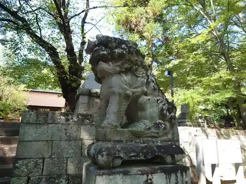 大井俣窪八幡神社の狛犬