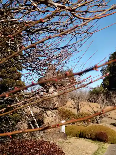 安楽寺の庭園