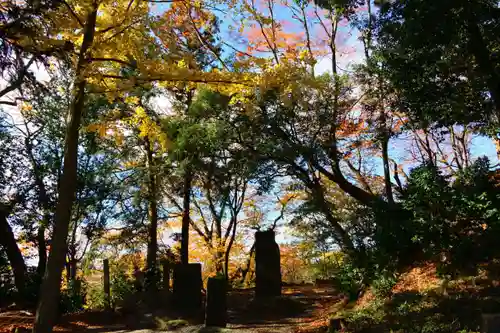 阿久津「田村神社」（郡山市阿久津町）旧社名：伊豆箱根三嶋三社の景色