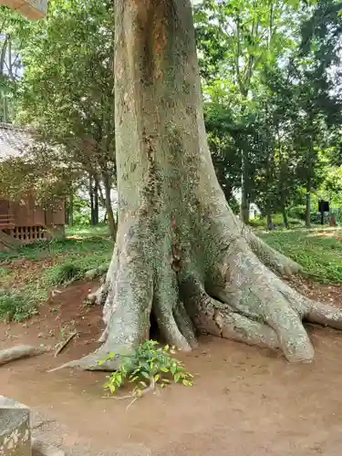 藤岡神社(栃木県)