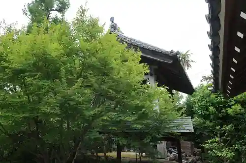興福寺(滋賀県)