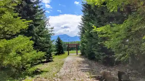 島津神社の鳥居