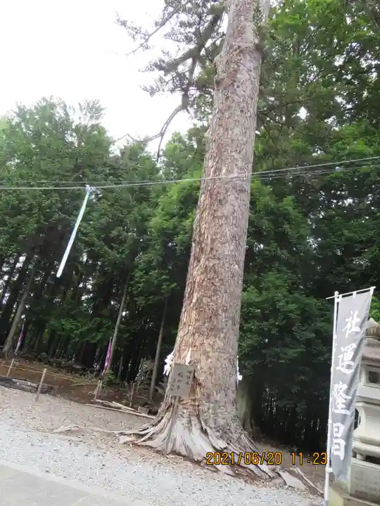 滑川神社 - 仕事と子どもの守り神の自然