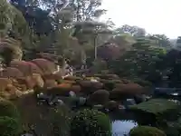 等持院の庭園