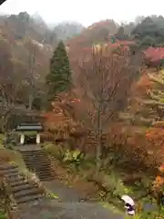 戸隠神社奥社の自然